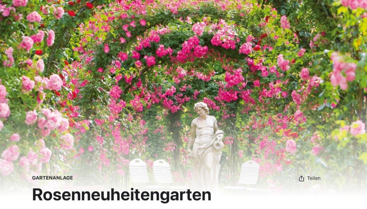 Luxus Apartment Am Fremersberg - Zentral - Mit Sauna & Badewanne バーデン＝バーデン エクステリア 写真